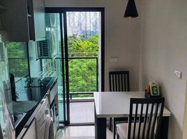 1 Bedroom Condo for rent at Zenith Place Sukhumvit 42, Phra Khanong, Khlong Toei