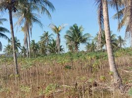  Grundstück zu verkaufen in Pattaya, Chon Buri, Khao Mai Kaeo