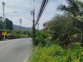  Grundstück zu verkaufen in Thalang, Phuket, Si Sunthon