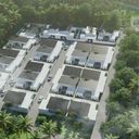 ปาล์ม เรสซิเดนท์