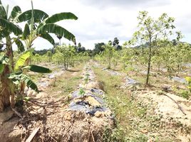  Grundstück zu verkaufen in Thalang, Phuket, Si Sunthon, Thalang