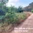  Land for sale in Bang Duea, Mueang Pathum Thani, Bang Duea