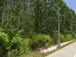  Land for sale in Na Roek, Phanat Nikhom, Na Roek