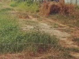  Land for sale in Bueng Bon, Nong Suea, Bueng Bon