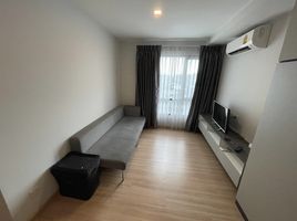 1 Schlafzimmer Wohnung zu vermieten im Knightsbridge Sky City, Anusawari, Bang Khen