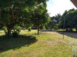  Land for sale in Brazil, Nhamunda, Amazonas, Brazil