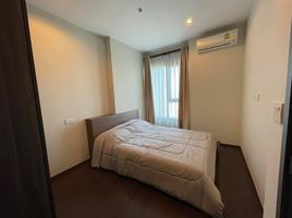 1 Bedroom Condo for rent at C Ekkamai, Khlong Tan Nuea, Watthana, Bangkok