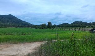 N/A Grundstück zu verkaufen in Si Satchanalai, Sukhothai 