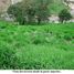  Land for sale in Sora, Chame, Sora