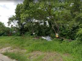  Land for sale in Wang Thong Lang, Bangkok, Khlong Chaokhun Sing, Wang Thong Lang