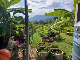  Grundstück zu verkaufen in Mae Chan, Chiang Rai, Mae Chan