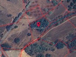  Land for sale in Mae Pong, Doi Saket, Mae Pong