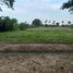  Land for sale in Mueang Nakhon Pathom, Nakhon Pathom, Thung Noi, Mueang Nakhon Pathom