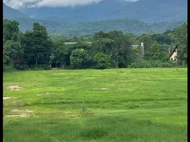  Grundstück zu verkaufen in Mae Rim, Chiang Mai, Rim Tai, Mae Rim