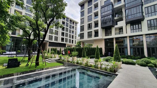 사진들 1 of the Gemeinschaftspool at The Reserve Sukhumvit 61