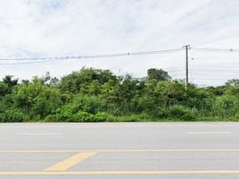  Grundstück zu verkaufen in Pak Chong, Nakhon Ratchasima, Nong Sarai