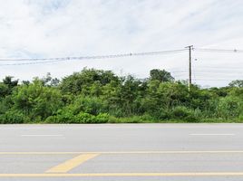  Land for sale in Pak Chong, Nakhon Ratchasima, Nong Sarai, Pak Chong