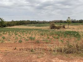  Land for sale in Sakhrai, Nong Khai, Khok Chang, Sakhrai