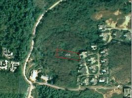  Земельный участок for sale in Тхаланг Пхукет, Чернг Талай