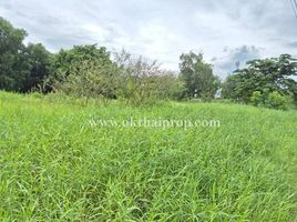  Land for sale in Lam Luk Ka, Pathum Thani, Khu Khot, Lam Luk Ka