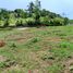  Land for sale in Surat Thani, Bo Phut, Koh Samui, Surat Thani