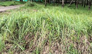 N/A Grundstück zu verkaufen in Pa Khlok, Phuket 