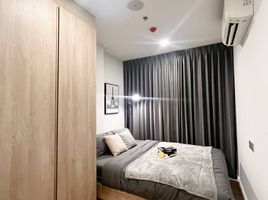 Studio Appartement zu vermieten im Modiz Sukhumvit 50, Phra Khanong