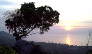 N/A Grundstück zu verkaufen in Koh Tao, Surat Thani 