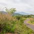  Land for sale in Alajuela, San Mateo, Alajuela