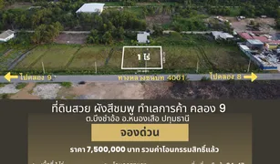 巴吞他尼 Bueng Cham O N/A 土地 售 