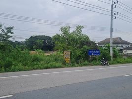  Land for sale in Chiang Mai, Santi Suk, Doi Lo, Chiang Mai