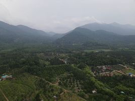  Grundstück zu verkaufen in Makham, Chanthaburi, Makham, Makham