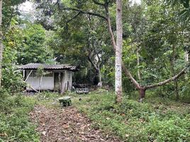  Land for sale in Tha Mai, Chanthaburi, Khao Baisi, Tha Mai