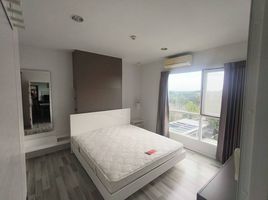 2 Schlafzimmer Wohnung zu verkaufen im N8 Serene Lake, Mae Hia, Mueang Chiang Mai