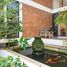 3 Schlafzimmer Haus zu vermieten in Chiang Mai, Mae Pu Kha, San Kamphaeng, Chiang Mai