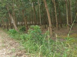  Land for sale in ChonThanh, Binh Phuoc, Minh Hung, ChonThanh