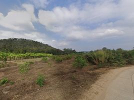  Land for sale in Mueang Chi, Mueang Lamphun, Mueang Chi