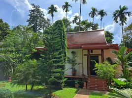 5 Schlafzimmer Villa zu verkaufen in Koh Samui, Surat Thani, Maenam, Koh Samui