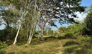 N/A Land for sale in Thep Krasattri, Phuket 