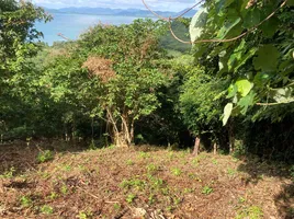  Land for sale in Pa Khlok, Thalang, Pa Khlok