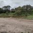  Land for sale in Amazonas, Utcubamba, Amazonas