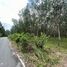  Land for sale in Nakhon Si Thammarat, Khuan Phang, Ron Phibun, Nakhon Si Thammarat