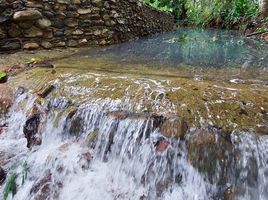  Grundstück zu verkaufen in Ko Chang, Trat, Ko Chang Tai, Ko Chang, Trat