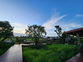7 Bedroom Hotel for sale in Rayong, Noen Kho, Klaeng, Rayong