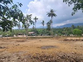  Land for sale in Surat Thani, Maenam, Koh Samui, Surat Thani