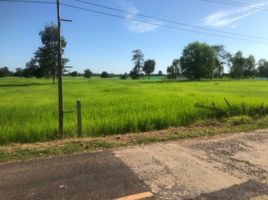  Grundstück zu verkaufen in Mueang Surin, Surin, Samrong