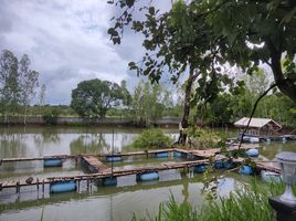 7 Bedroom House for sale in Nong Khon, Mueang Ubon Ratchathani, Nong Khon