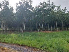 Land for sale in Rayong, Maenam Khu, Pluak Daeng, Rayong