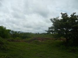  Grundstück zu verkaufen in Anton, Cocle, Juan Diaz