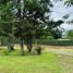3 Bedroom House for sale in Guacimo Limon, Guacimo, Limon